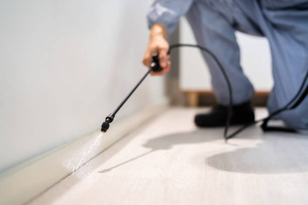 Bed Bug Pre-Treatment Preparation Assessment in Ceres