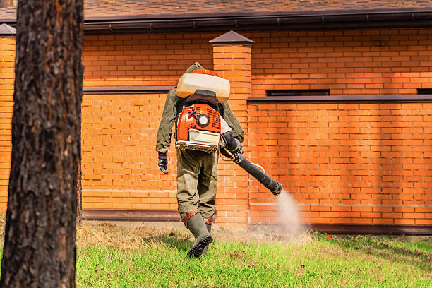 Bed Bug Clearance Verification and Documentation in Ceres